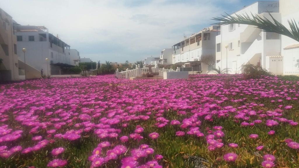 Apartment Zona Naturista Vera Zewnętrze zdjęcie